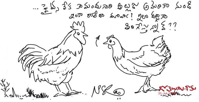 అల్లుడొచ్చే వరకే